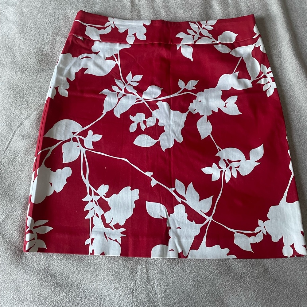 Finity skirt size 10